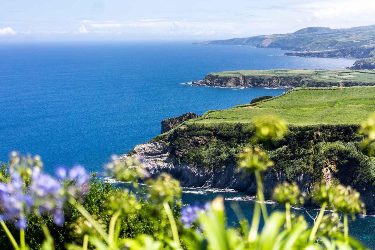 Salt Lips Surf & Coworking Azores Hostel